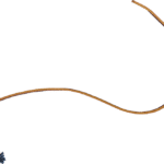 Replacement Whip Leader 