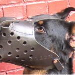SPORT AGITATION MUZZLE