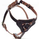 MULTI-PURPOSE PADDED HARNESS 
